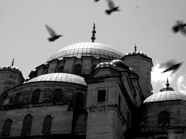 Mosque - Istanbul, Turkey